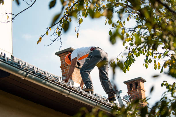 Best Roof Gutter Cleaning  in Brockway, PA